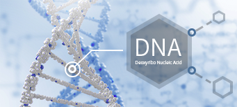 DNA I – 형질전환 물질의 발견